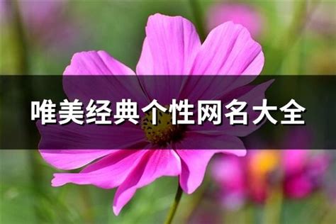 唯美網名|唯美经典个性网名大全(精选654个)